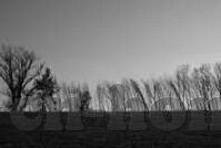 足球比分截图-揭秘足球比分截图背后的故事，激情、数据与真相的碰撞